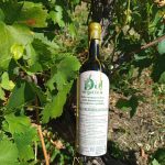 Широка Мелнишка 2024 (червено, натурално, непенливо)