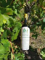 Подаръчен комплект – Широка Мелнишка 2024 (червено, натурално, непенливо, 3 бутилки) - Image 4