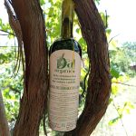 Широка Мелнишка 2024 Pet Nat (червено, натурално, пенливо)